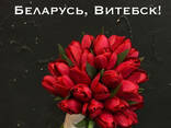 Свой человек в Беларуси - photo 7
