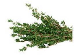 Thyme leave