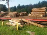 Timber from pine. Wood materials. lumber from the manufactur - photo 5