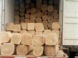 Wood Timber Paulownia Wood Timber With Factory Price - photo 3