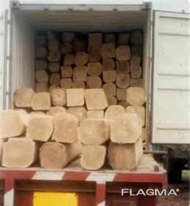Timber Logs, Sawn Timber, Pine and Oak, Teak Wood Logs