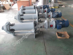 Tobee TJL Vertical Sump Pump