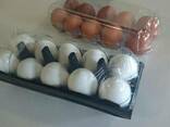 Transparent packaging for chicken and quail eggs for 6, 10, - photo 1