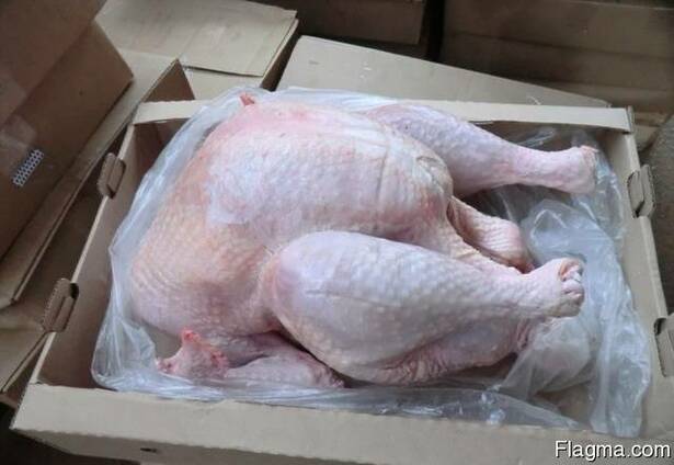 Turkey turkey meat