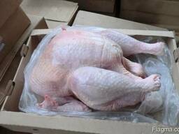 Turkey turkey meat