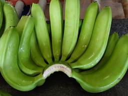 Vietnam fresh banana