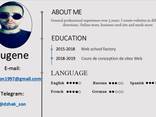 Web designer - photo 2
