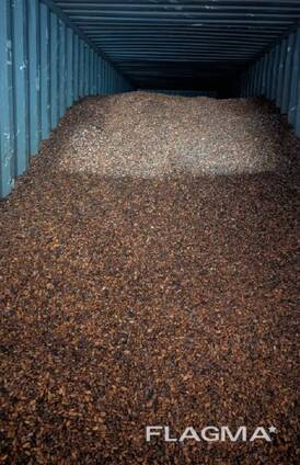 Whole cocoa beans