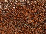 Whole cocoa beans - photo 2