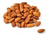 Raw Almonds Available delicious and healthy Almonds Nuts - photo 5