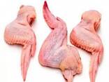 Wholesale Prices Whole Frozen Halal Chicken - photo 2