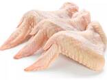 Wholesale Prices Whole Frozen Halal Chicken - photo 3
