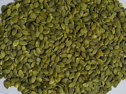 Wholesale shine skin pumpkin seeds kernels with good price
