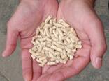 Wood Pellet High Quality - BEST Price from VIET NAM - FREE Sample ECO FUEL Acacia Wood - photo 1