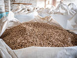 Wood Pellets E1 - photo 6