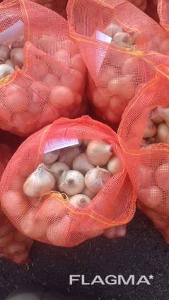Yellow onion