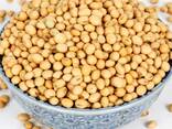 Yellow Soybeans Delicious Soybeans Sale - photo 2