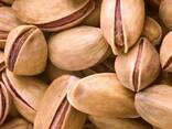 پسته - фото 1