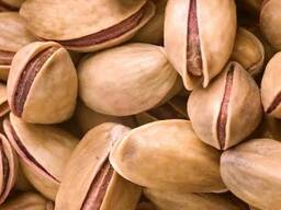 پسته